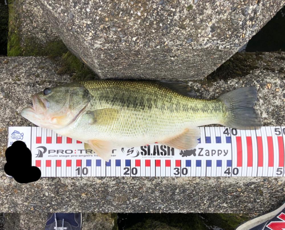 アフター狙い❓