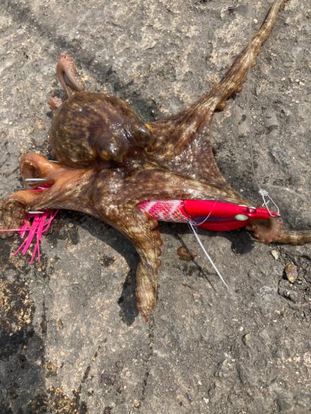 ⭐︎釣り人の醍醐味