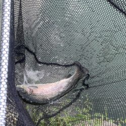 まだまだ経験不足