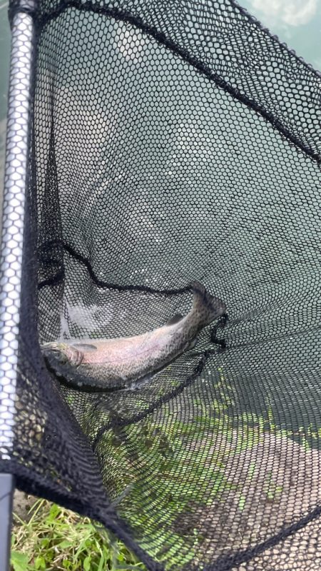 まだまだ経験不足