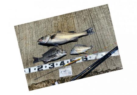 その後、このあと