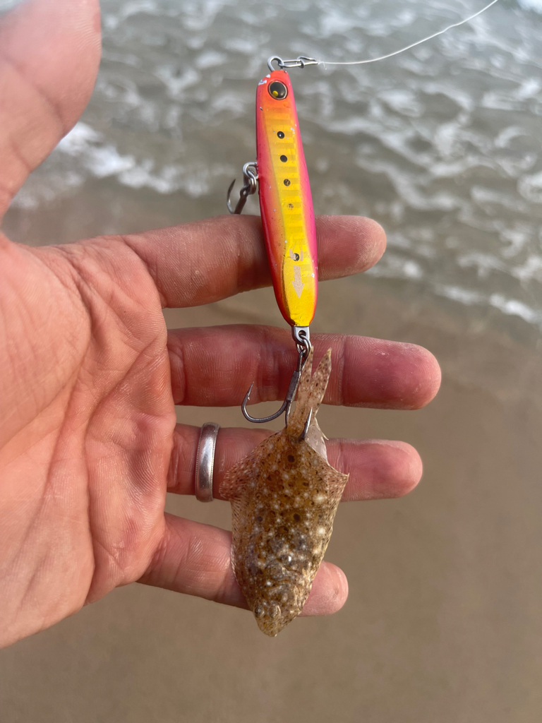 サーフゲームでチビヒラメ