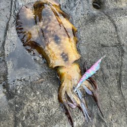 やっと春が来た。