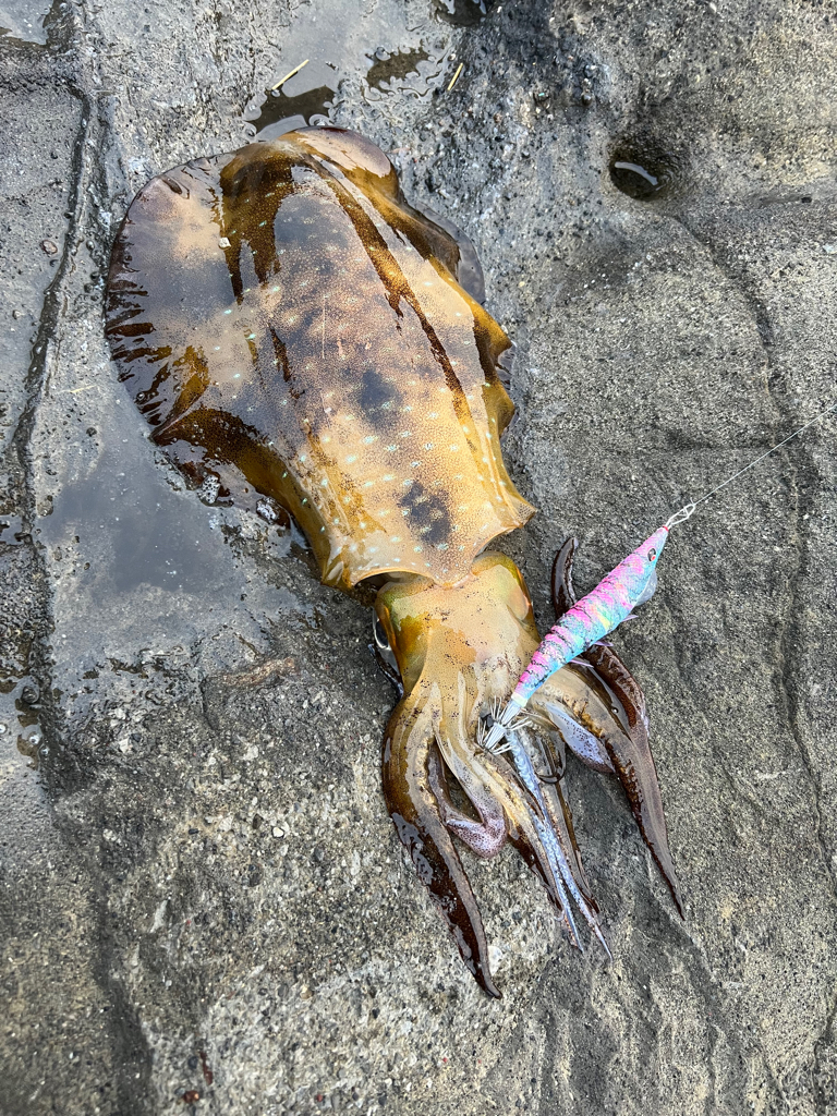 やっと春が来た。