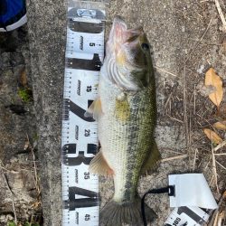 ゴールデンウィークの最後に