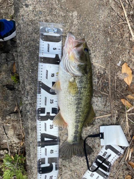 ゴールデンウィークの最後に