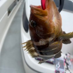 仕立船でタイラバ