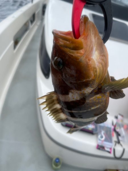 仕立船でタイラバ