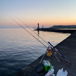 ゴールデンウィーク後半、2回目の釣行で、深日港へキス釣り