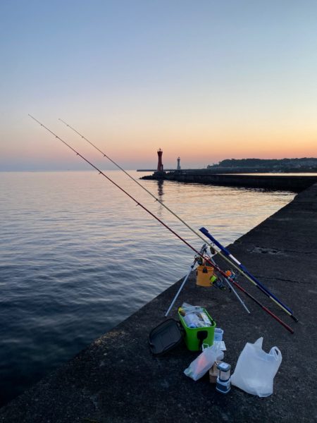 ゴールデンウィーク後半、2回目の釣行で、深日港へキス釣り