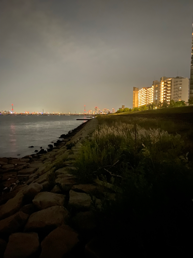 淀川ブリームゲーム