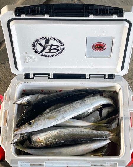 カマス狙いで初遠征