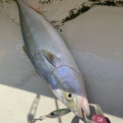 明石沖ジギング