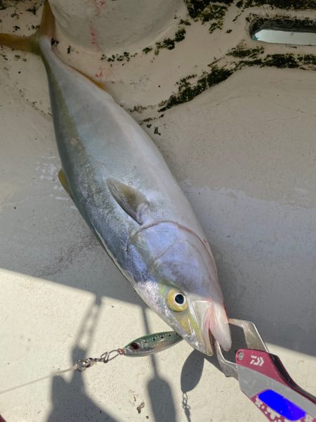 明石沖ジギング