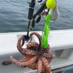 明石沖タコ釣り