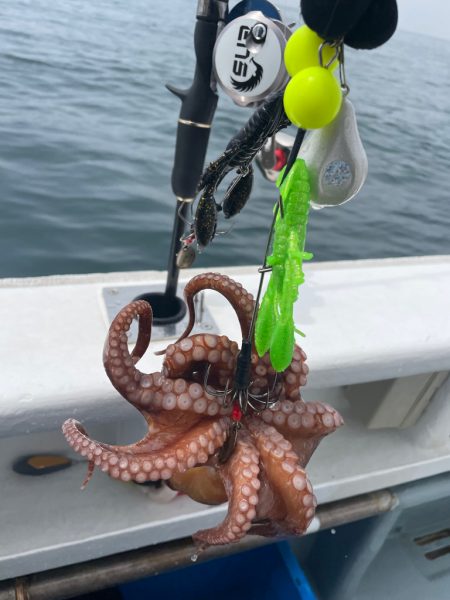 明石沖タコ釣り