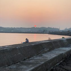 ちょい投げキス釣り