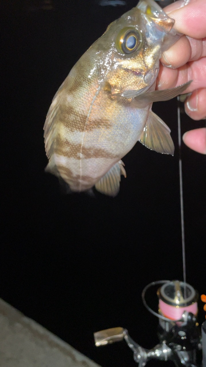 ちょっと寒かった