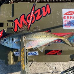 型狙いのマズメ勝負