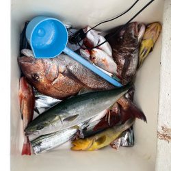 今年初のマイボート釣行