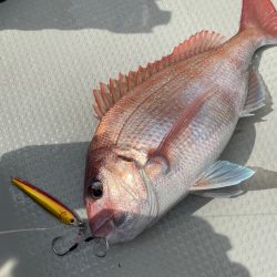 丹後沖ジギング