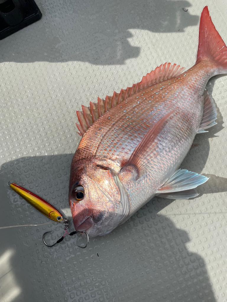 丹後沖ジギング