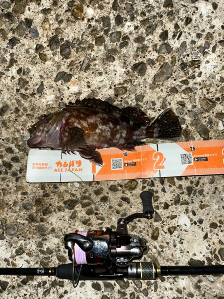 季節の変わり目