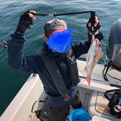 アコウとサバフグ