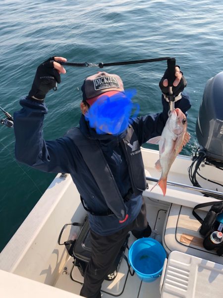 アコウとサバフグ