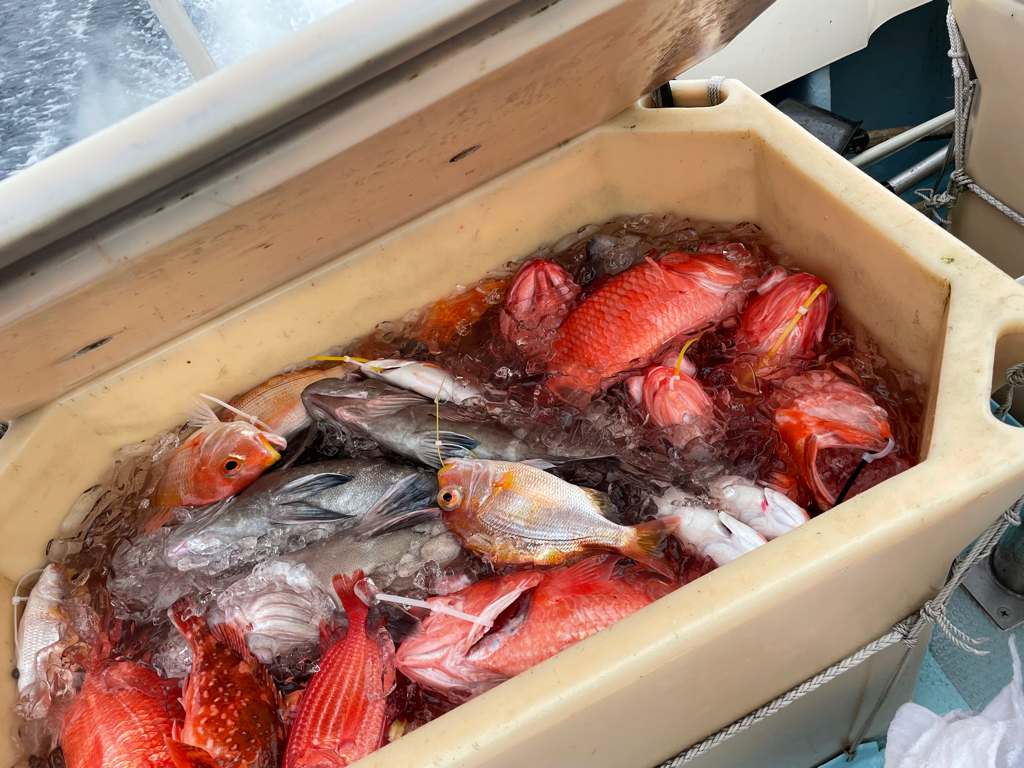 足摺岬沖スロージギング