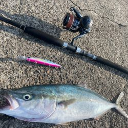 ショアジギ