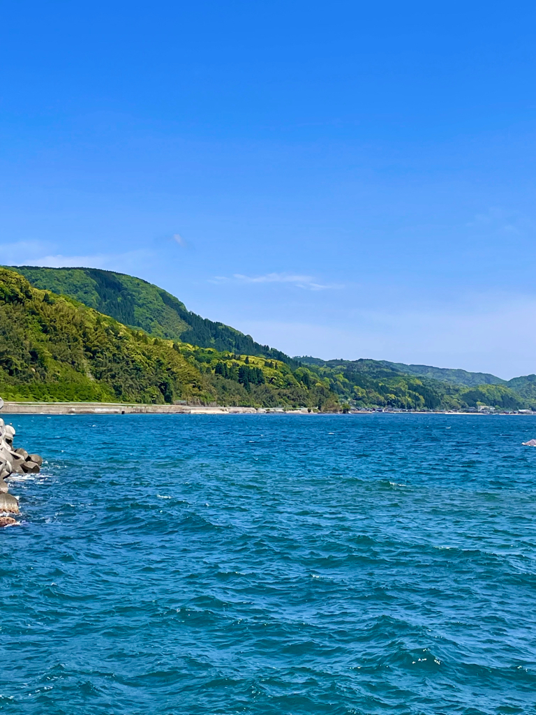 エギング諦めキス釣り！