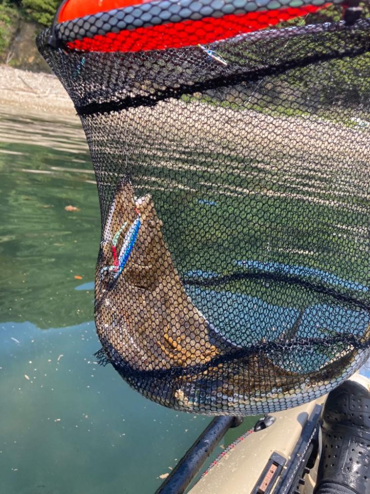 カヤックフィッシング