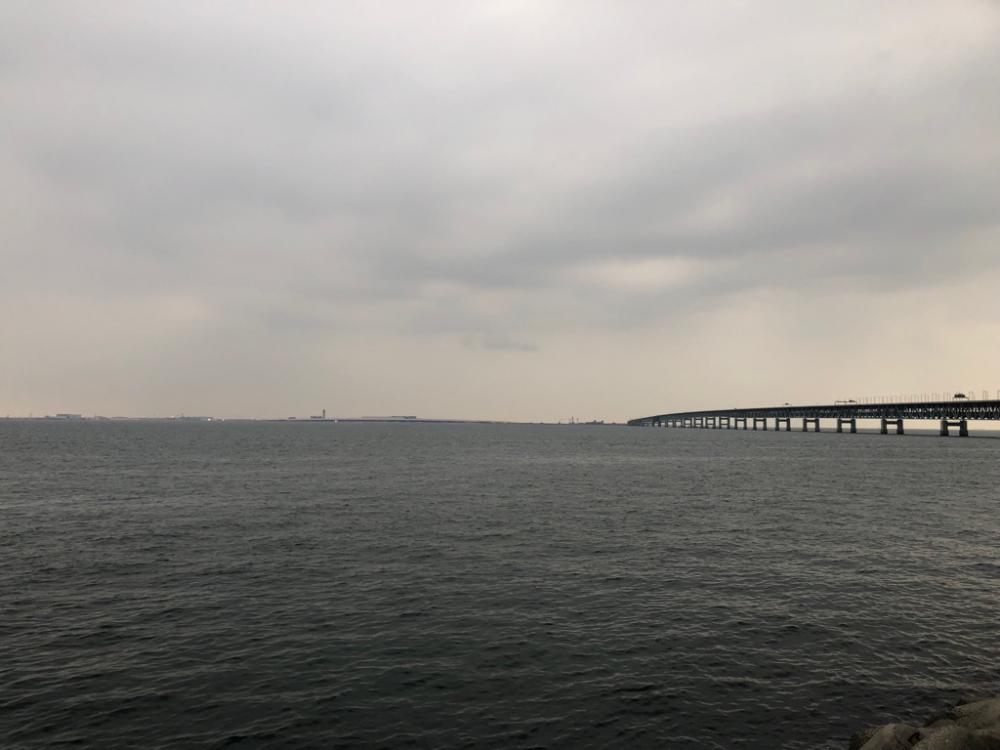 プラグでも、ワームでも