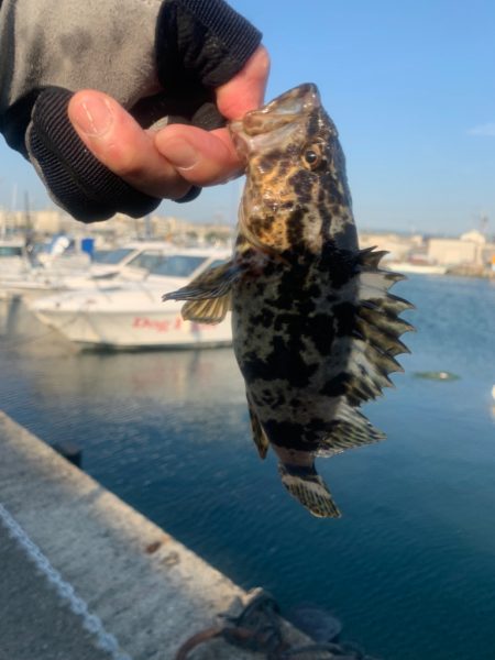 何が釣れるか・・・