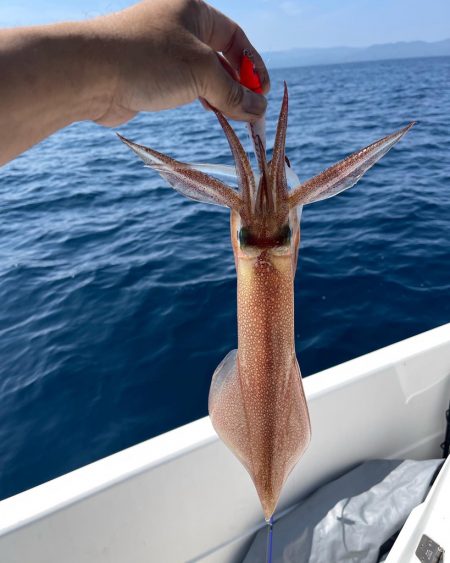 今年２回目のマイボート