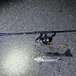 マニックは優秀