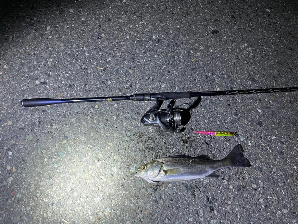 マニックは優秀