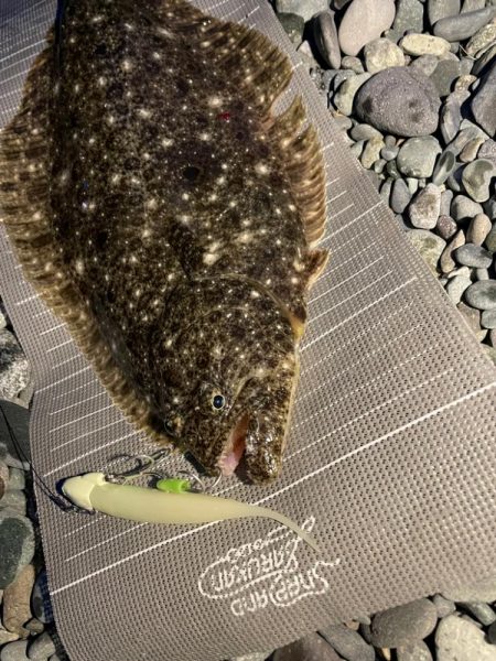 初投稿！初釣果は…
