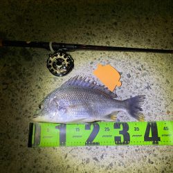 ヘチってきました