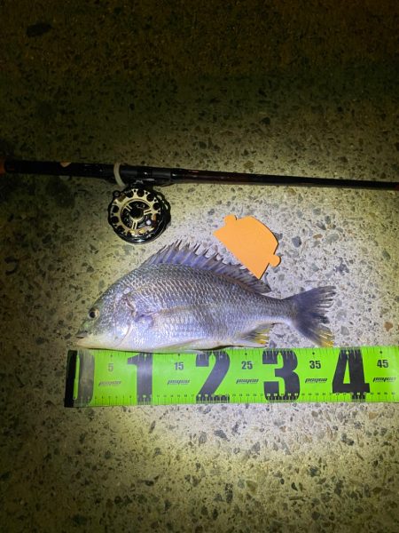 ヘチってきました