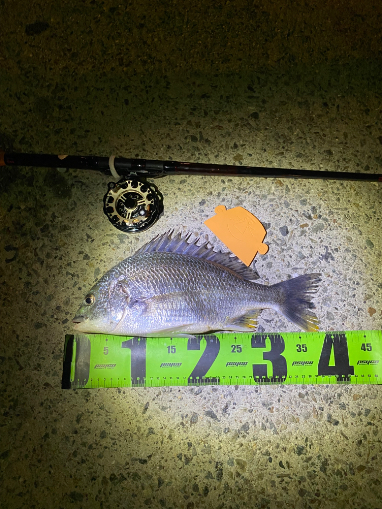 ヘチってきました