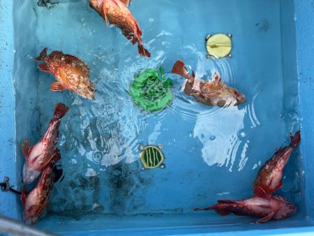 ガチンコロックは安定