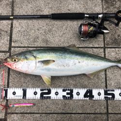 今年初の翼港にて…