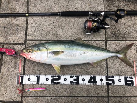 今年初の翼港にて…