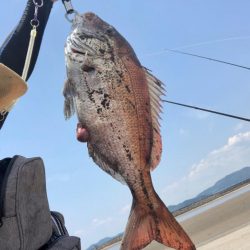 JPスローの当たり日