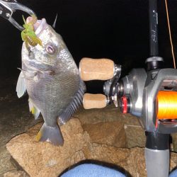 花火大会直後でも釣れる