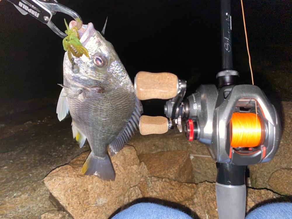 花火大会直後でも釣れる