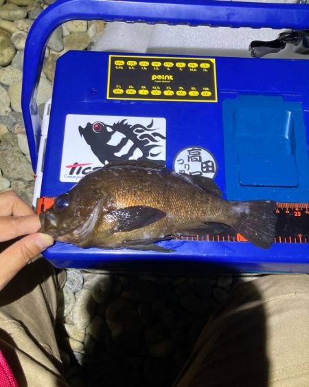 淡路メバリング