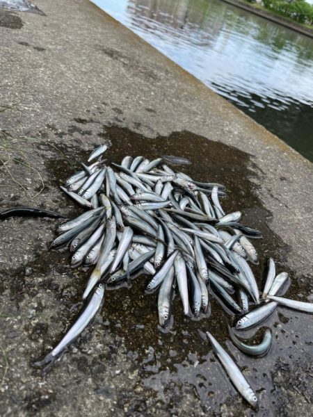 マキエダブルプレー！？